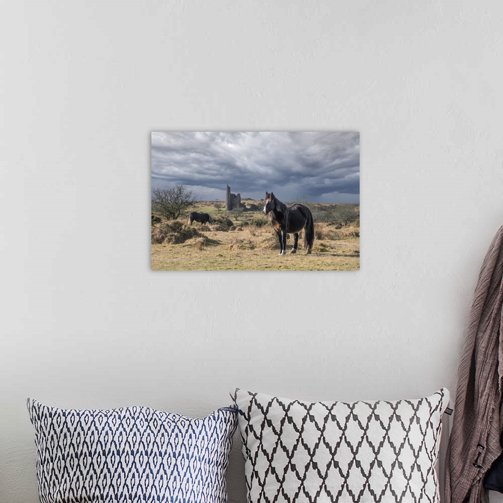A bohemian room featuring Wild Bodmin Ponies grazing and roaming with the remains of Craddock Engine House in the backgroun...