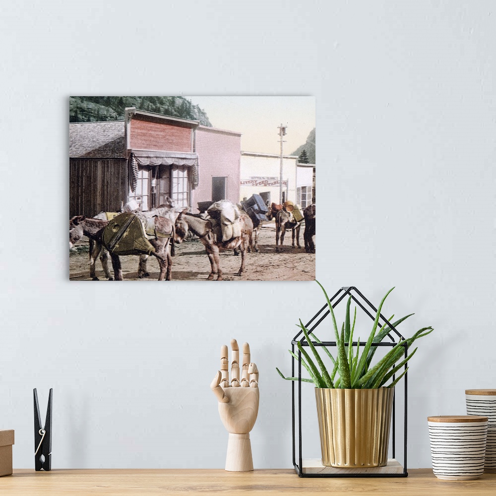 A bohemian room featuring Colorado Pack Train Ready for Mines Vintage Photograph