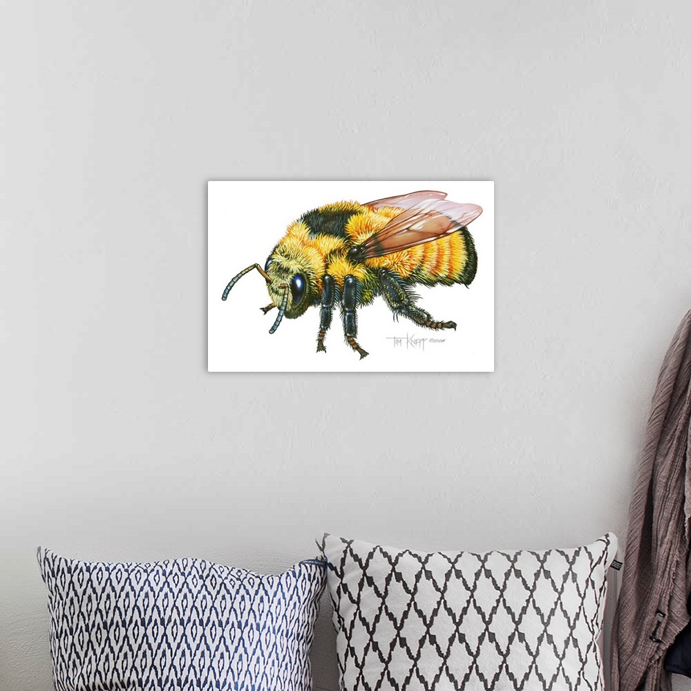 A bohemian room featuring Bumble Bee