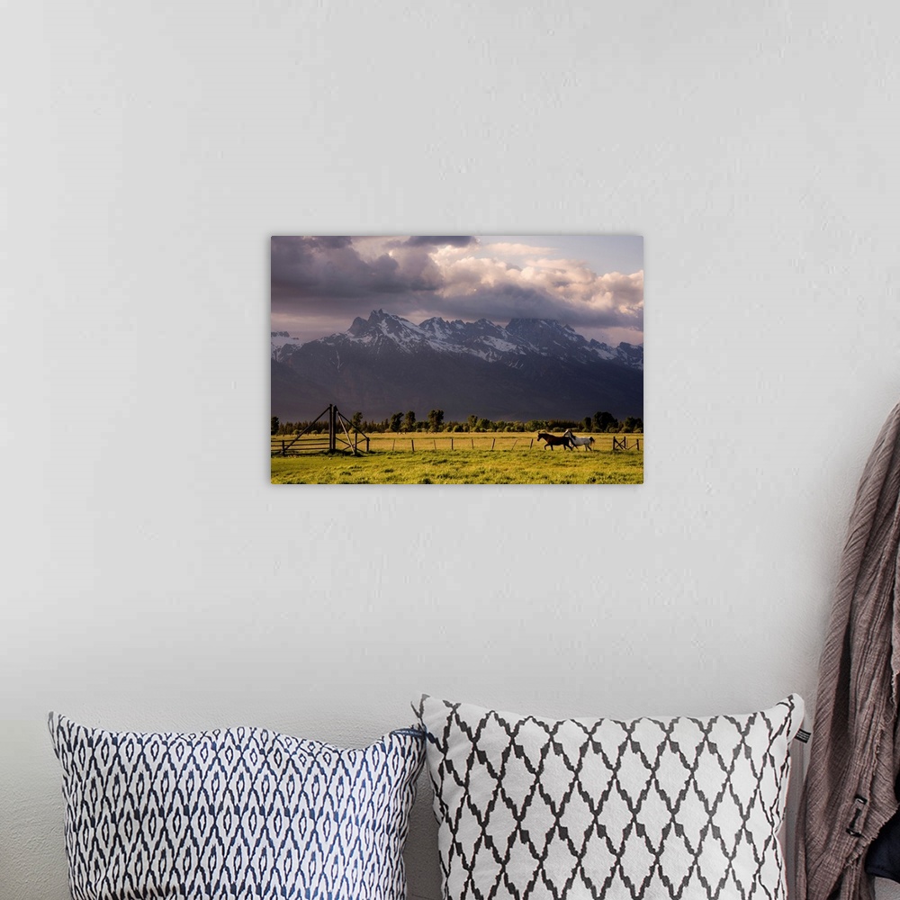 A bohemian room featuring Photograph of a brown and white horse galloping though a field with snowy mountains in the backgr...