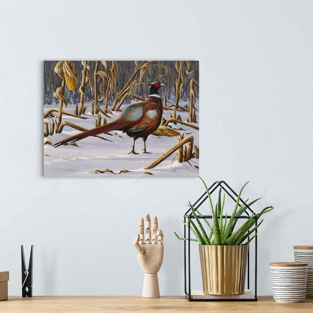 A bohemian room featuring Ringnecked pheasant walking through a snowy field.