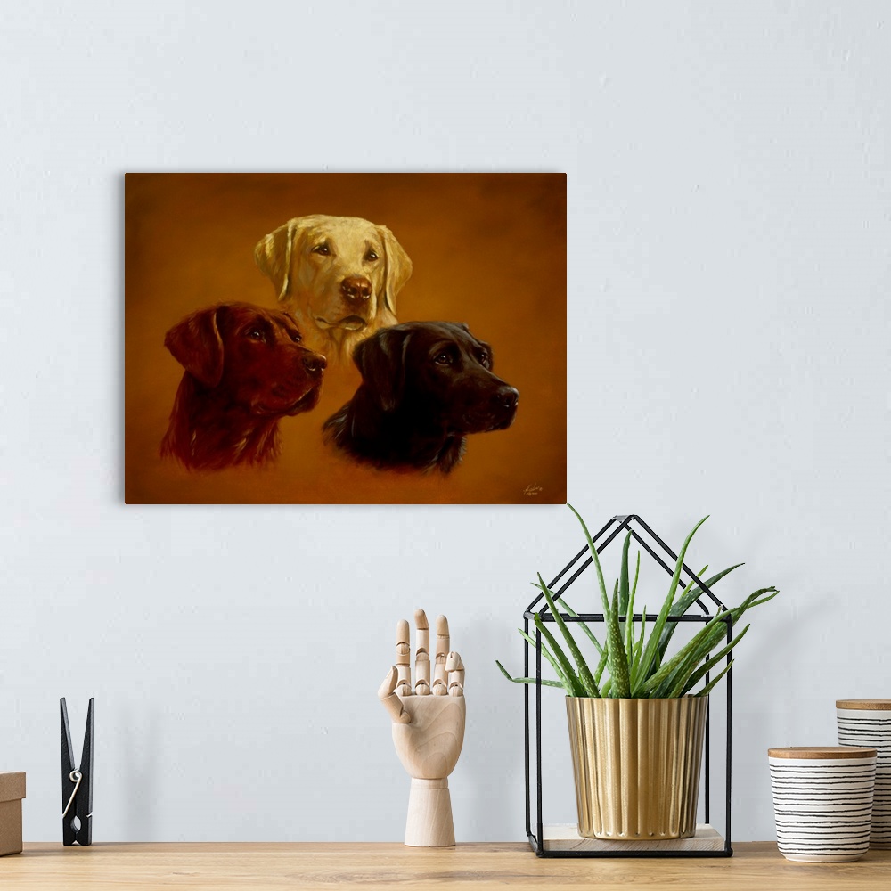 A bohemian room featuring Contemporary painting of three portraits of different labrador retrievers.