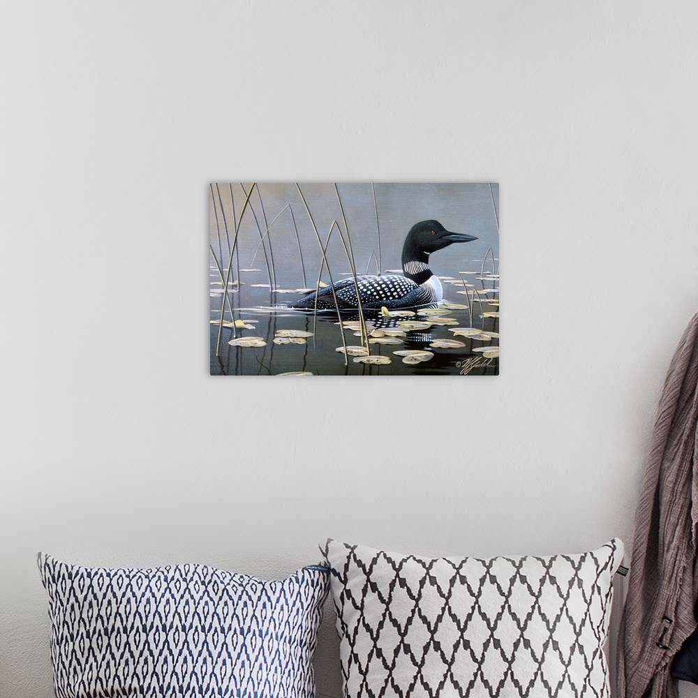 A bohemian room featuring Loon swimming in water.