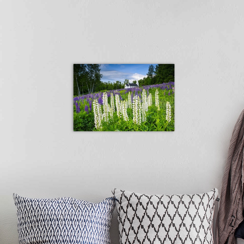 A bohemian room featuring Landscape photograph of white and purple lupines in a hilly field with a white church in the back...