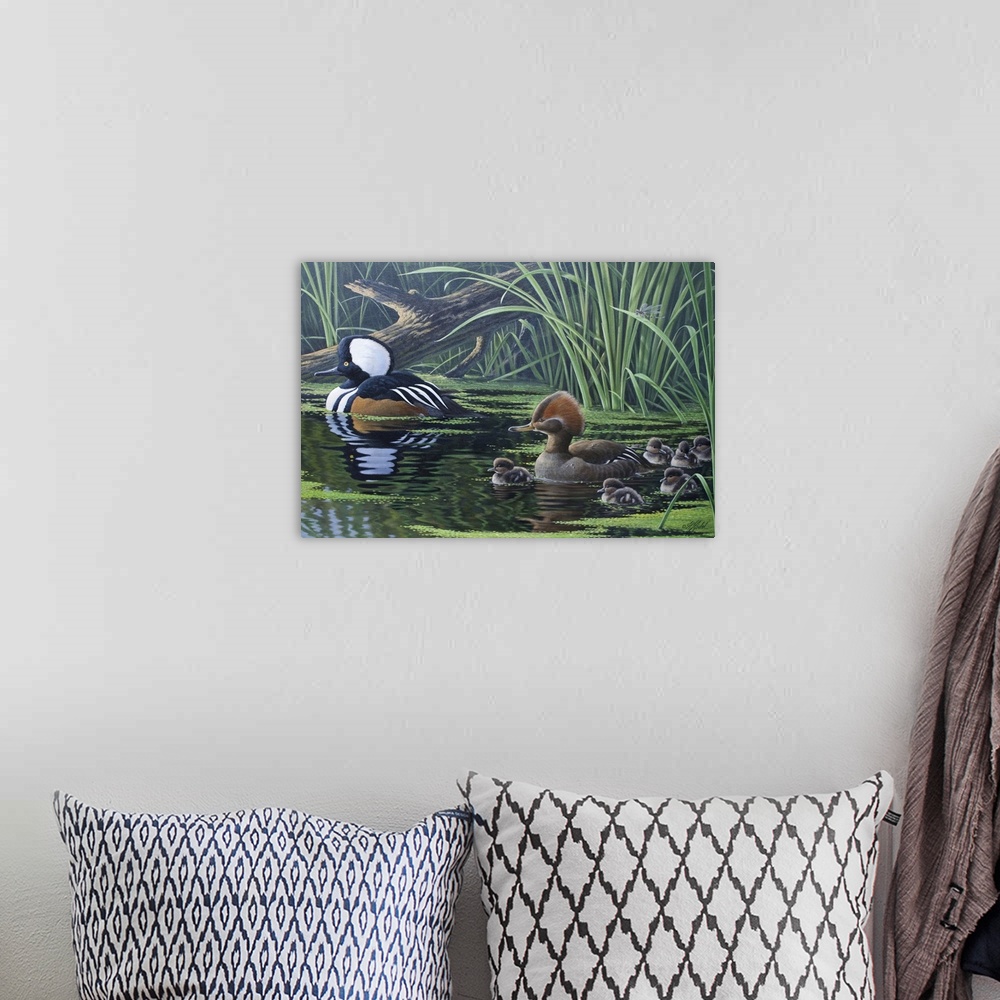 A bohemian room featuring Ducks floating by tall water grass and lily pads.
