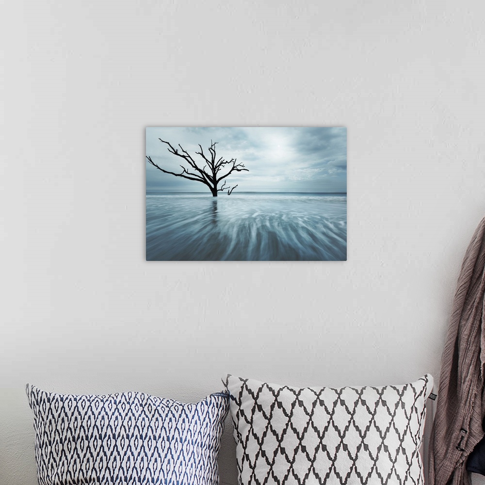A bohemian room featuring An artistic photograph of a dead tree standing lone in shallow dark blue water under a cloudy omi...