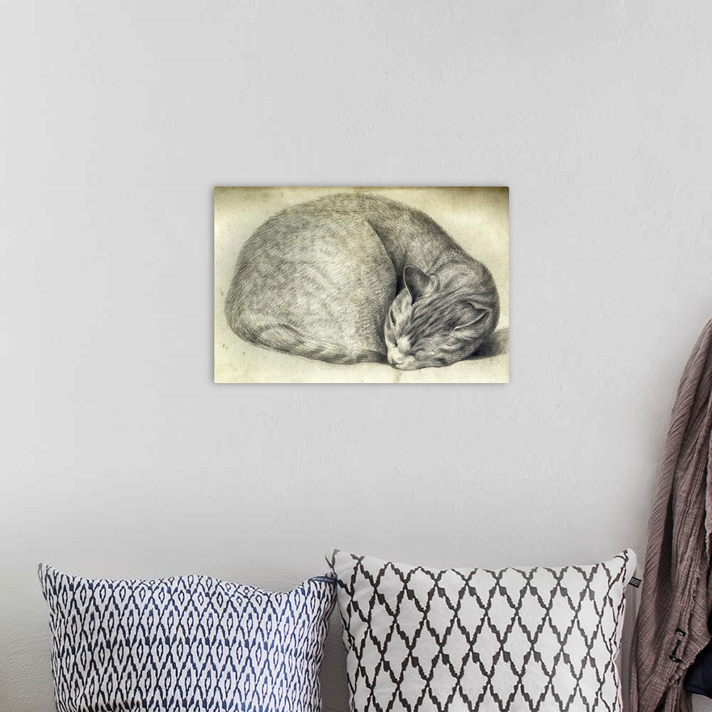A bohemian room featuring A vintage illustration of a sleeping cat curled up in a ball.
