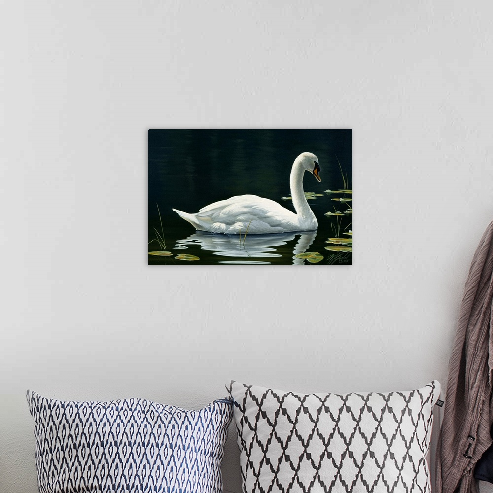 A bohemian room featuring Swan swimming on still water.