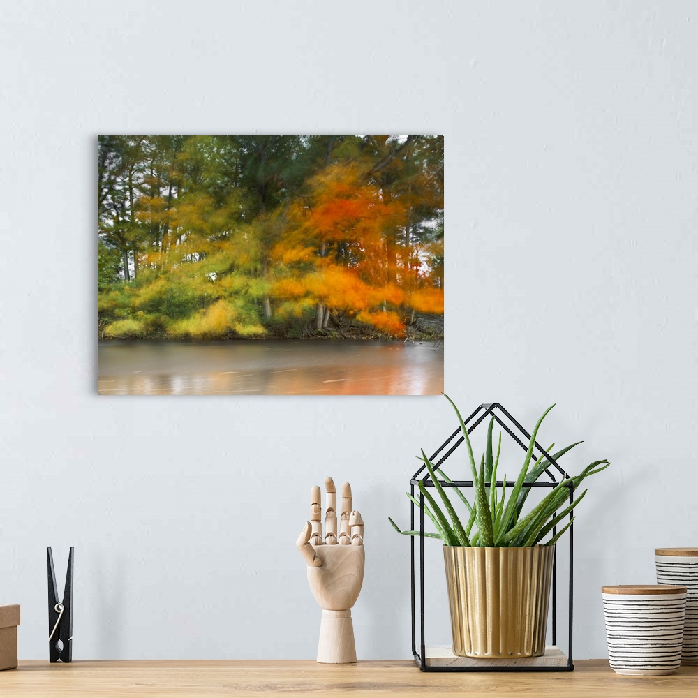 A bohemian room featuring An artistic photograph of motion blurred forest trees in autumn foliage.