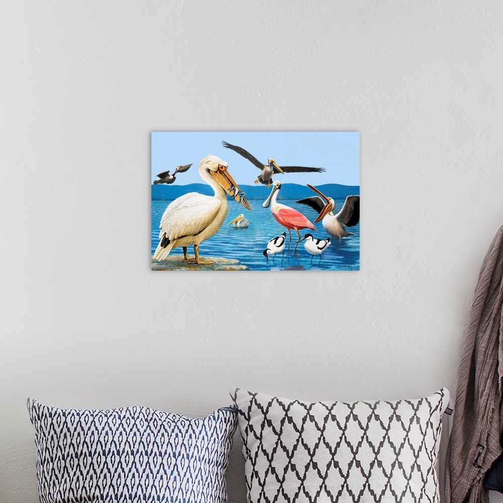 A bohemian room featuring Birds with strange beaks. Pelican, Brown Pelican, Roseate Spoonbill, and Avocet. Original artwork...
