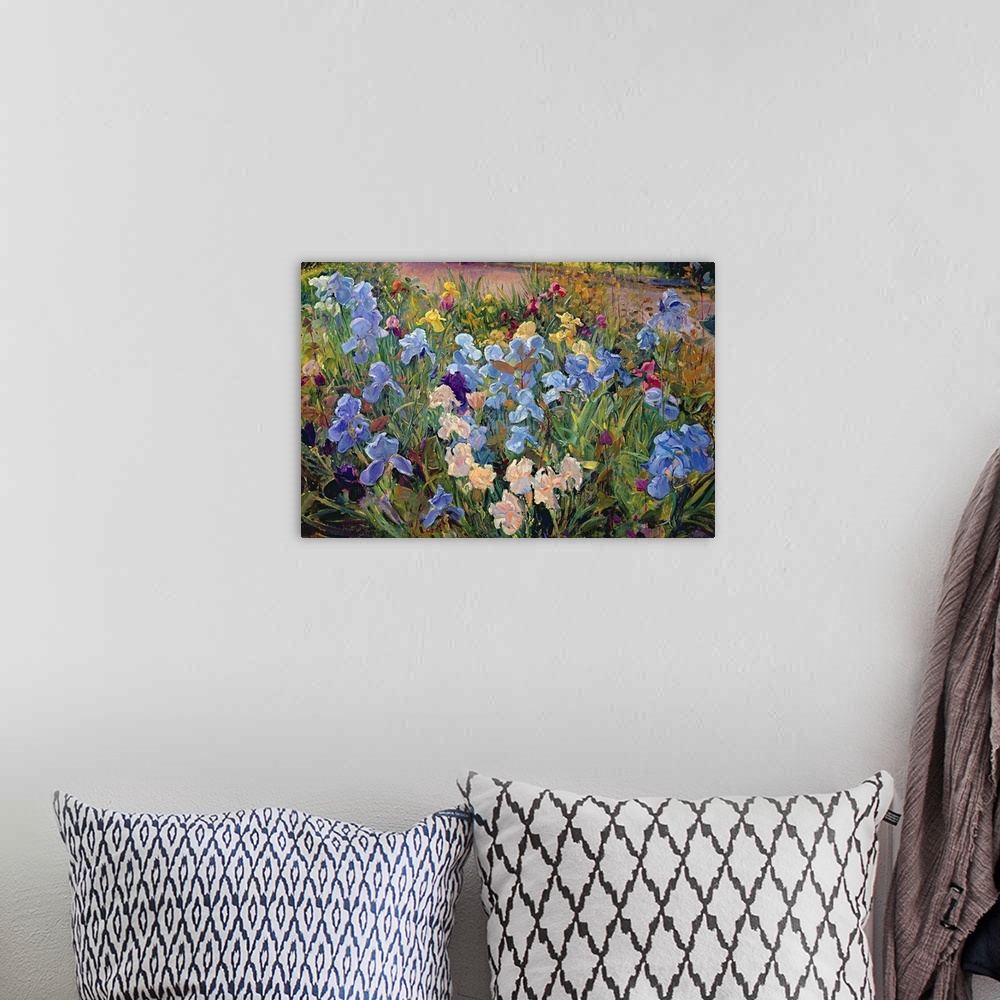 A bohemian room featuring A realistic photograph of a variety of multicolor irises growing beside a road in spring.