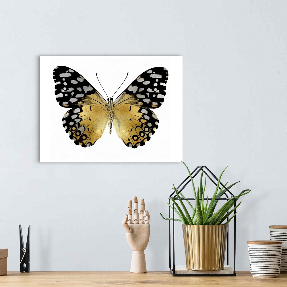 Golden Butterfly IV Wall Prints, Canvas Framed Big Peels Art, | Prints, Canvas Great Wall