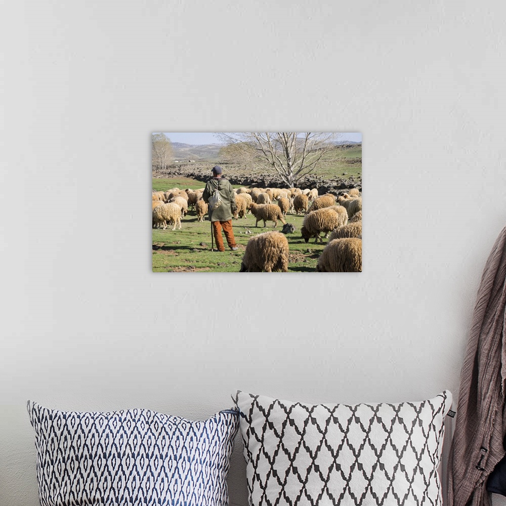 A bohemian room featuring Africa, Morocco,. A man tends his flock of sheep in the High Atlas mountains.