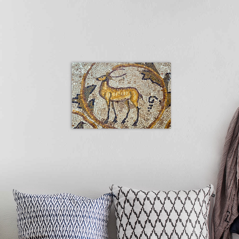 A bohemian room featuring Deer mosaic, New House Of Hunt, Bulla Regia Archaeological Site, Tunisia, North Africa, Africa