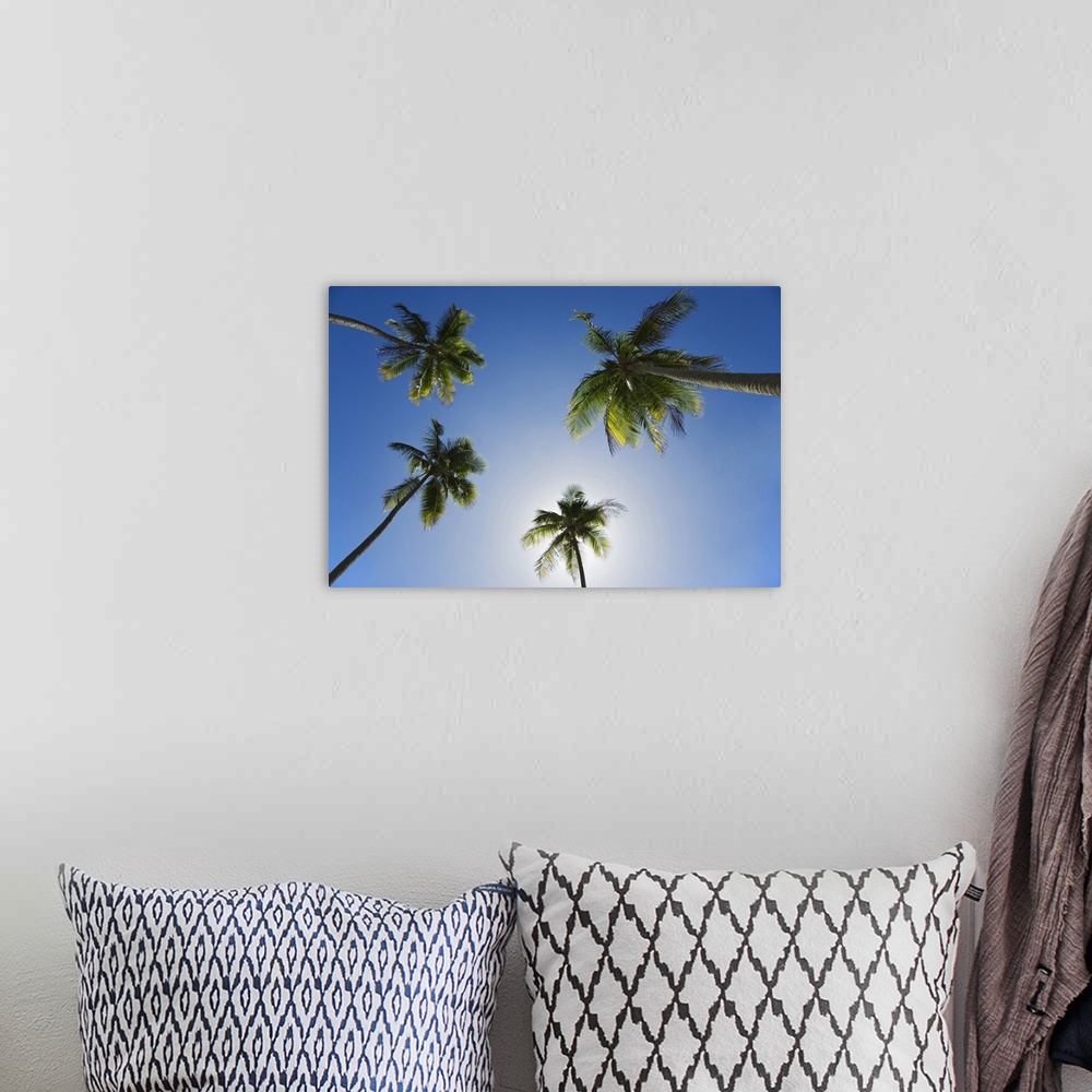 A bohemian room featuring Caribbean, Puerto Rico. Coconut palm trees at Luquillo Beach.