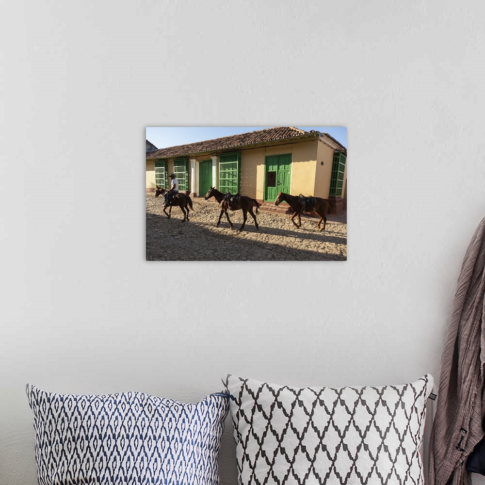 A bohemian room featuring Cuba, Trinidad. Pulling horses along cobblestone street.