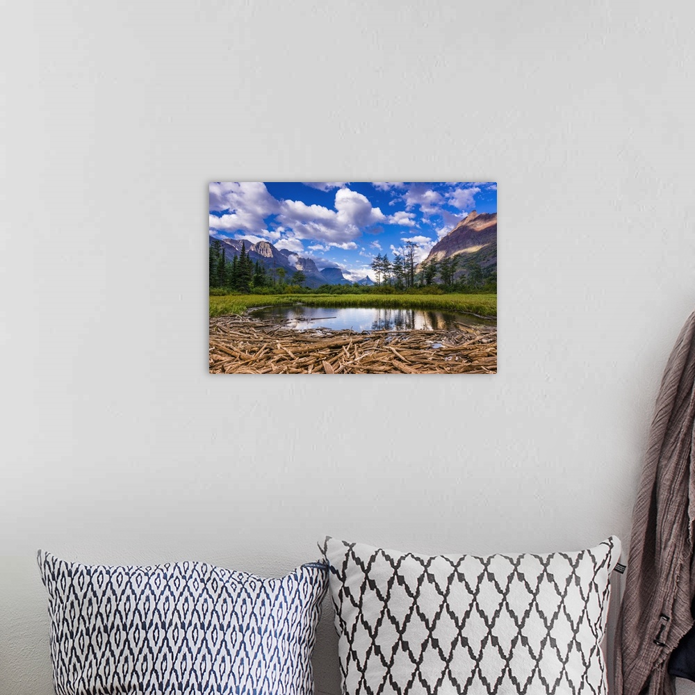 A bohemian room featuring Driftwood and pond, Saint Mary Lake, Glacier National Park, Montana
