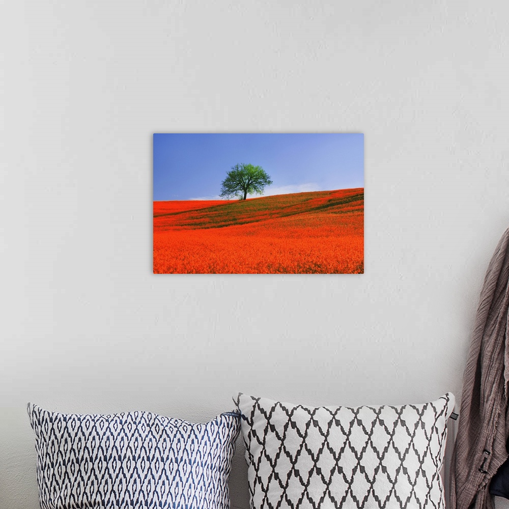 A bohemian room featuring Europe, Italy, Tuscany. Abstract of oak tree on red flower-covered hillside.