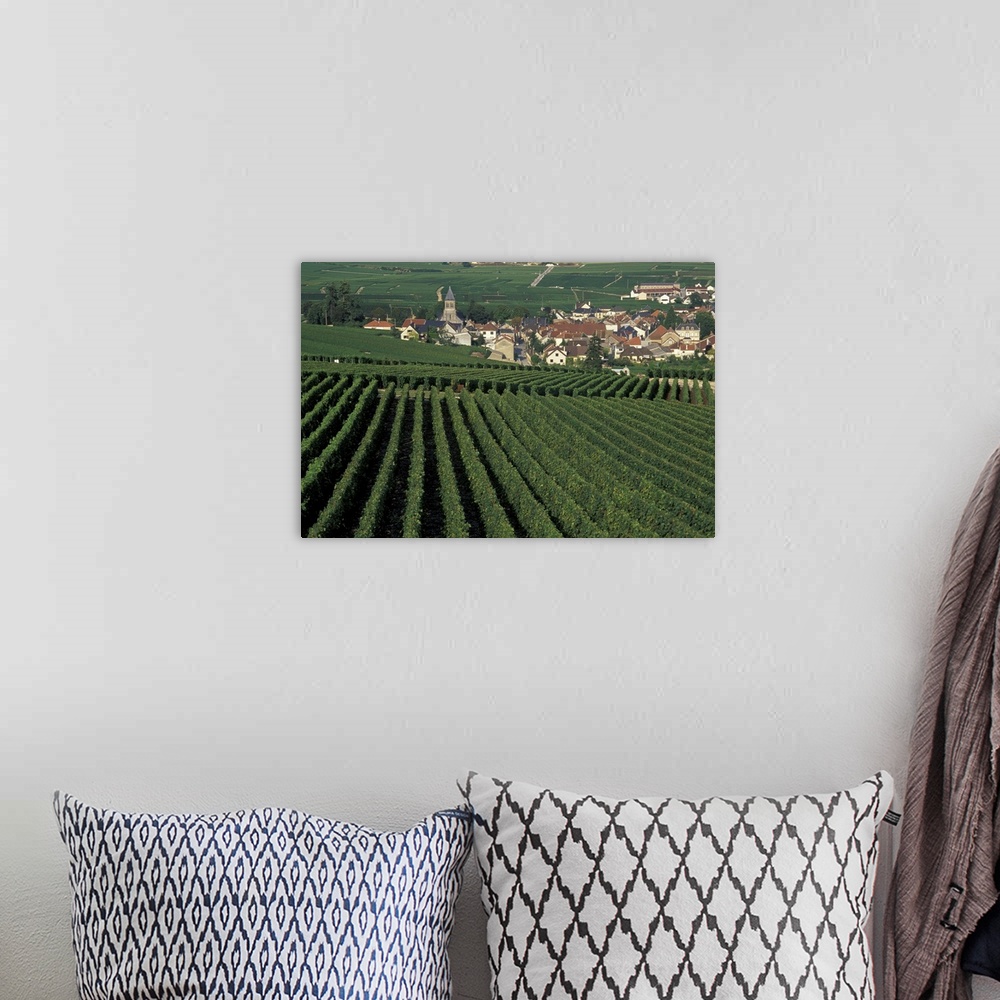 A bohemian room featuring EU, France, Oger, Marne, Champagne, vineyards