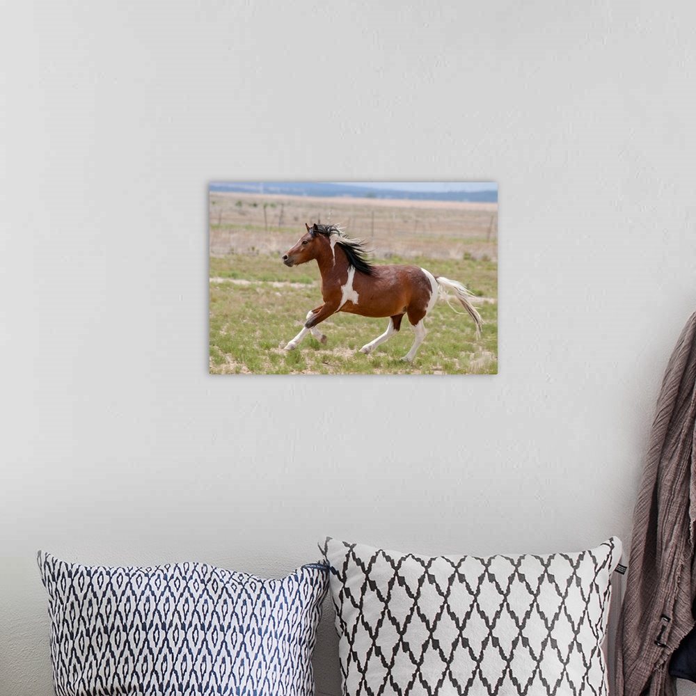 A bohemian room featuring Horse Running.