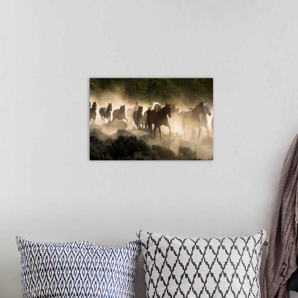 A bohemian room featuring Horses being herded by a wrangler, backlit at sunrise
