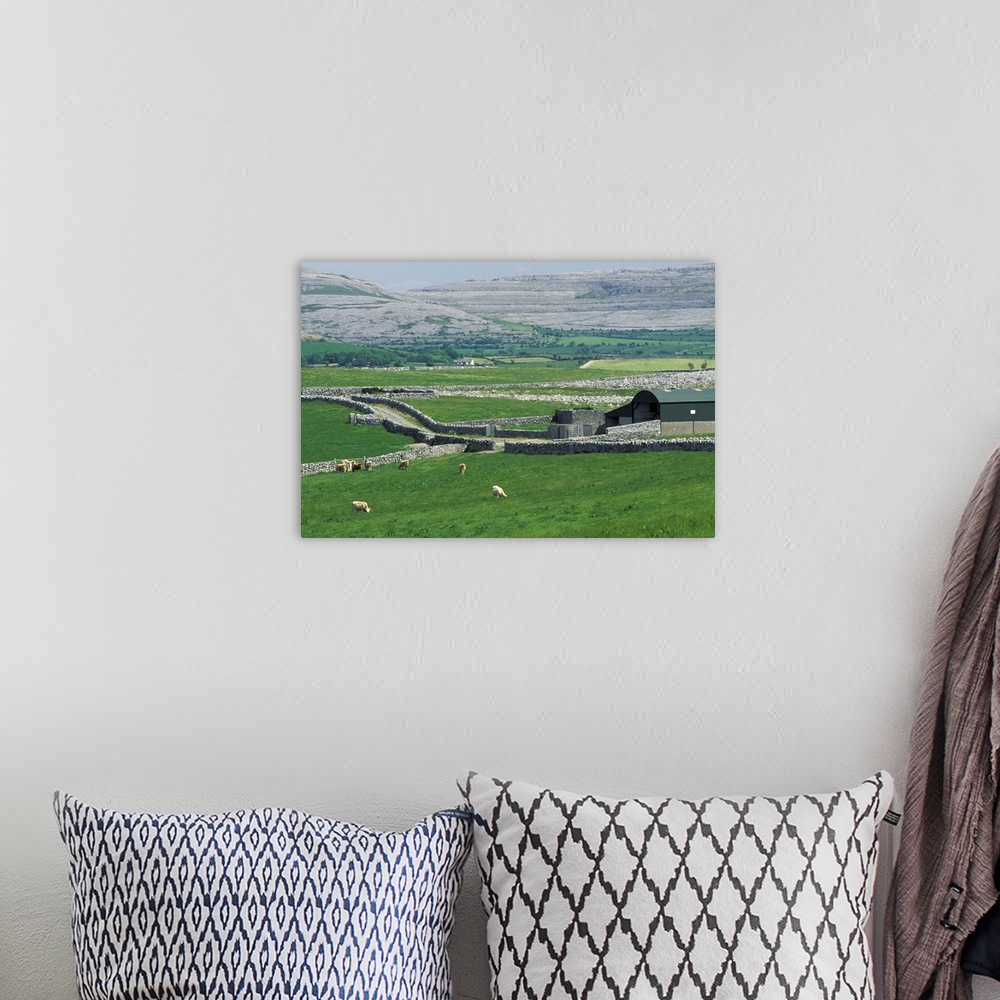 A bohemian room featuring Europe, Ireland, County Clare. The Burren