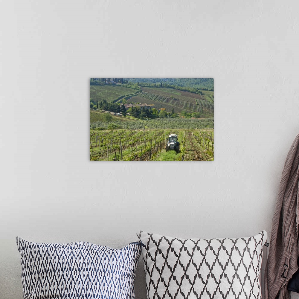 A bohemian room featuring Italy, Tuscany, Chianti region. Tractor in the vineyard.
