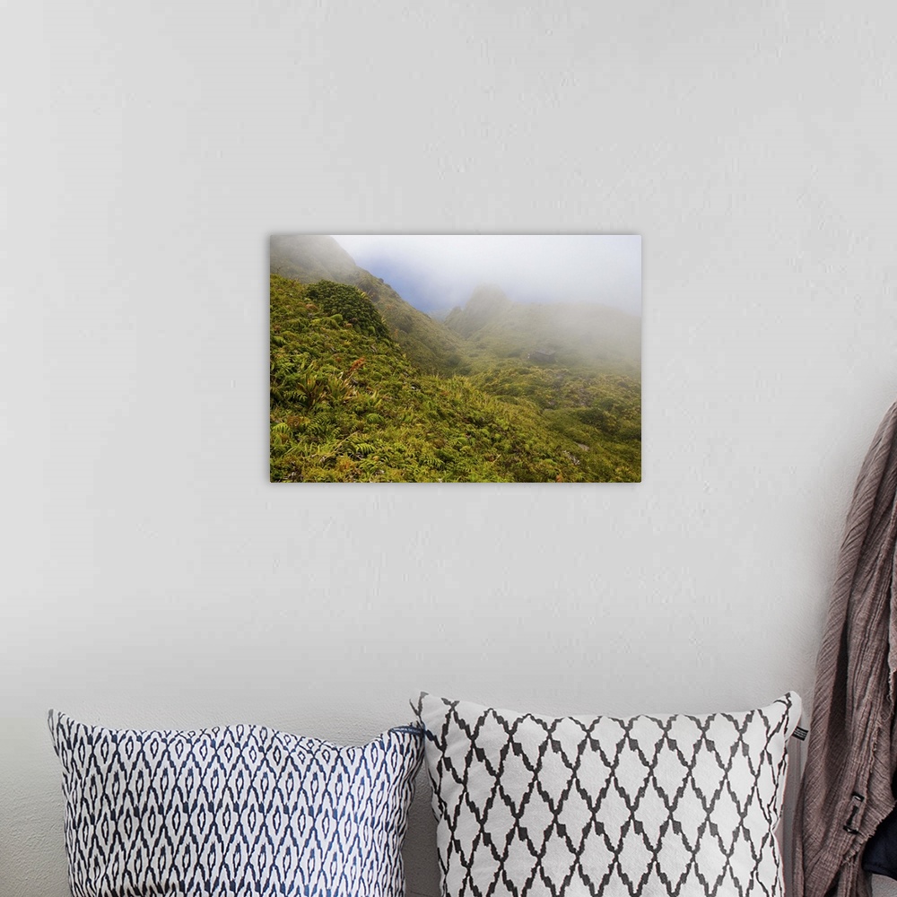A bohemian room featuring MARTINIQUE. French Antilles. West Indies. Fog blows across sopes near summit of Mt. Pel..e. Low-g...