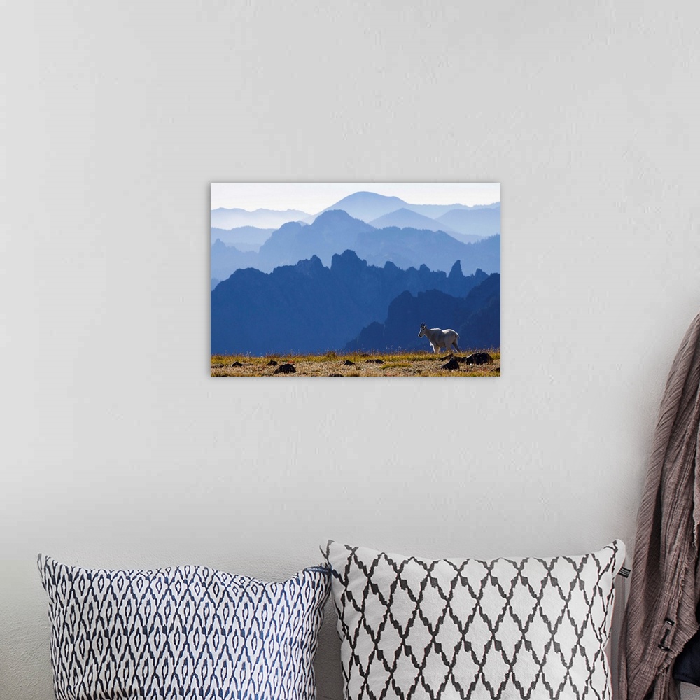 A bohemian room featuring Mountain Goat, Cascade Mountain Range