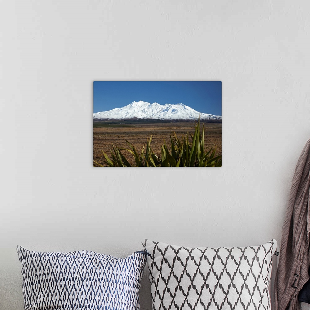 A bohemian room featuring Mt Ruapehu, Rangipo Desert, and flax, Tongariro National Park, Central Plateau, North Island, New...