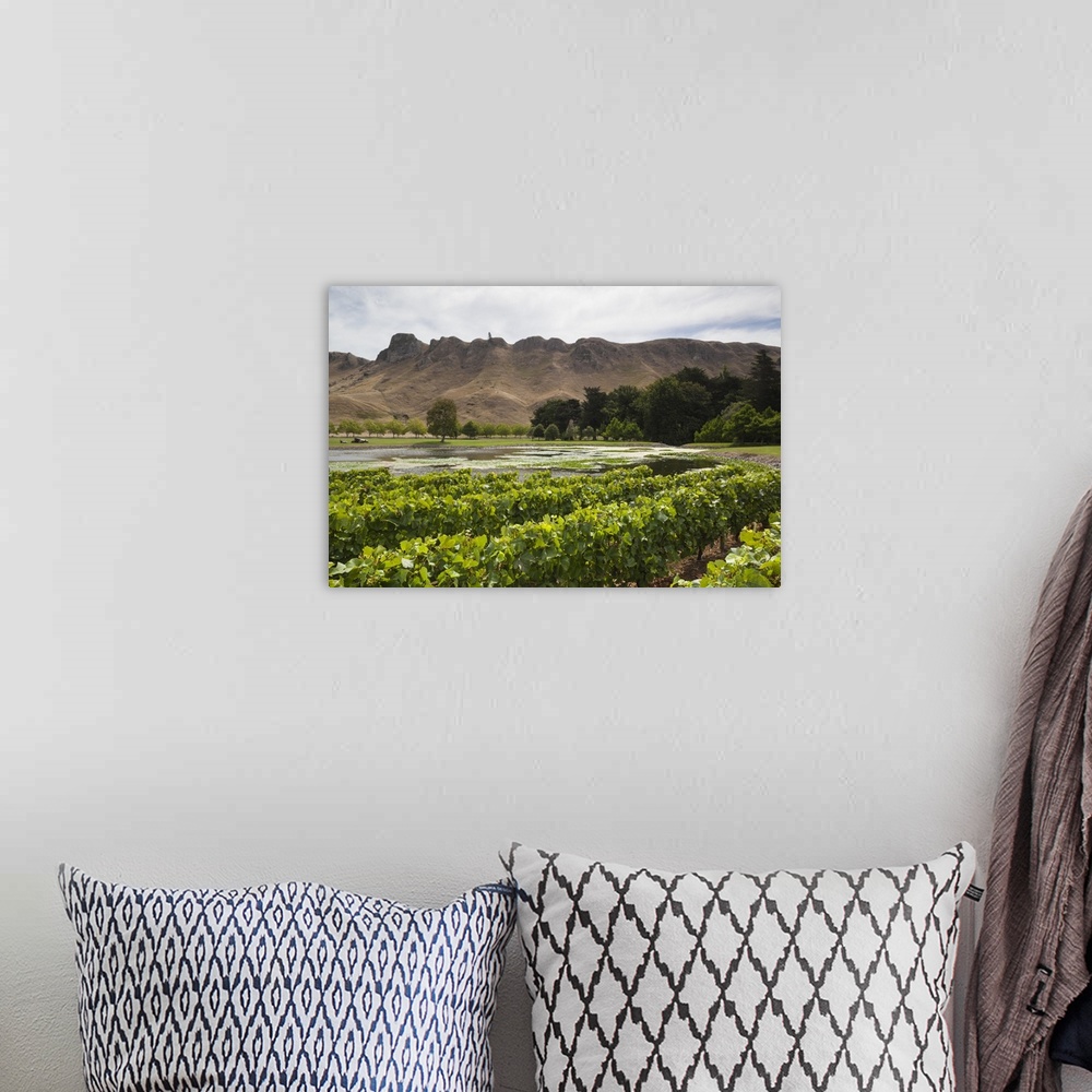 A bohemian room featuring New Zealand, North Island, Hawkes Bay, Havelock North, Te Mata Peak, view from vineyards