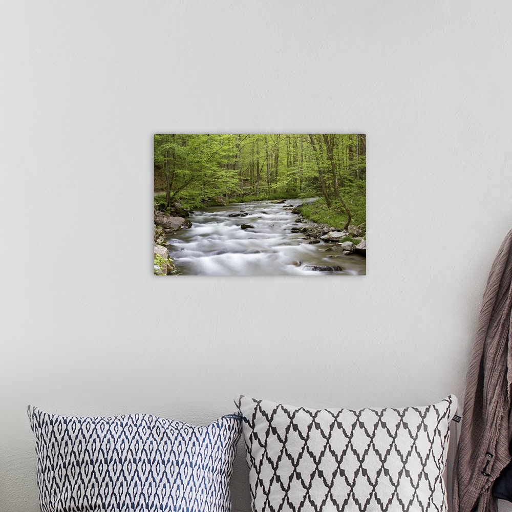 A bohemian room featuring Straight Fork Creek in spring, Great Smoky Mountains National Park, NC