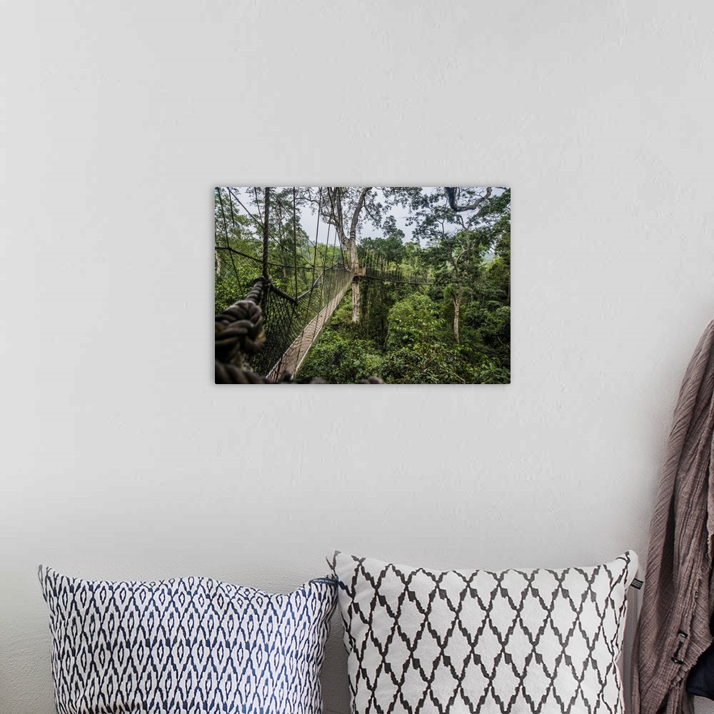 A bohemian room featuring Traversing the 7 bridges high in the canopy of Kakum National Forest