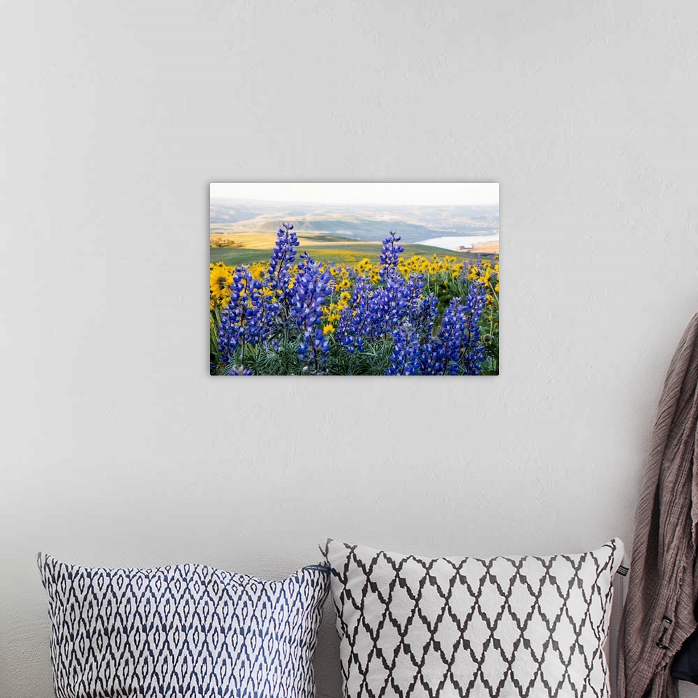 A bohemian room featuring United States, Oregon, Columbia River Gorge, Landscape aloong the Gorge