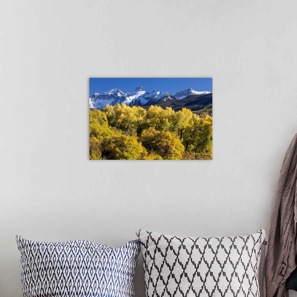 A bohemian room featuring USA, Colorado, San Juan Mountains. Mountains and autumn landscape.