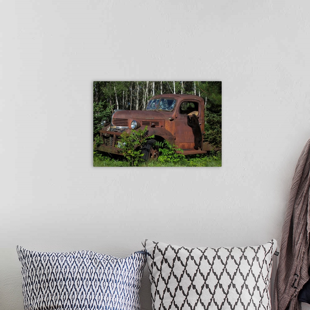 A bohemian room featuring USA, Minnesota, Sandstone, Bear Cub and Old Truck