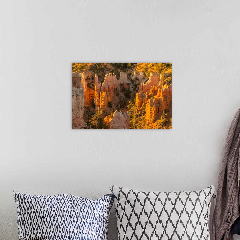 A bohemian room featuring USA, Utah, Bryce Canyon National Park. Canyon overview.