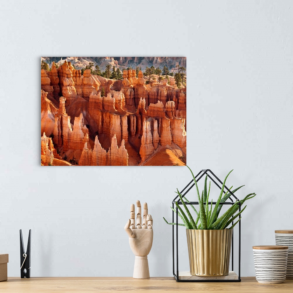 A bohemian room featuring USA, Utah, Bryce Canyon National Park, Morning light on hoodoos