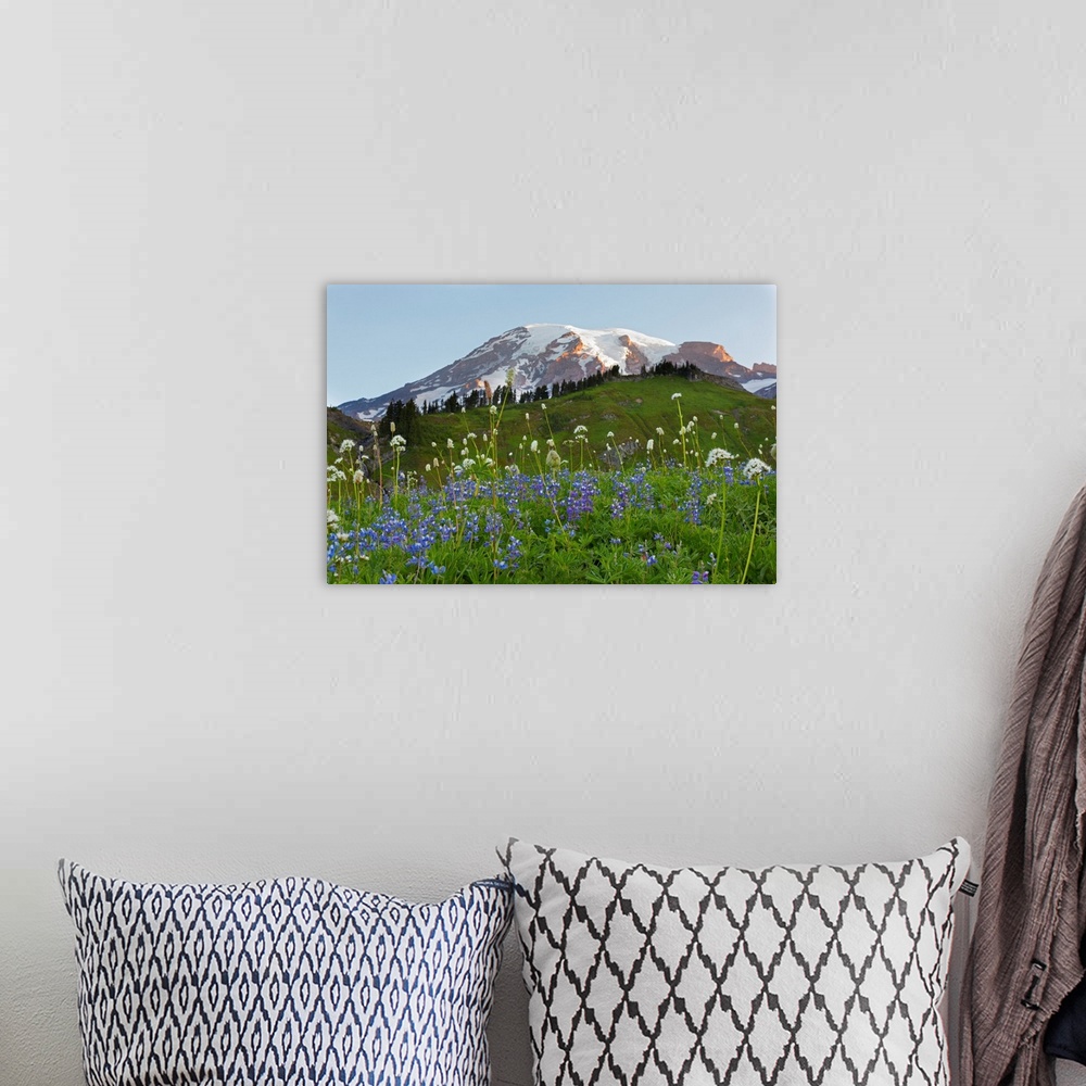 A bohemian room featuring WA, Mount Rainier National Park, Mount Rainier and Wildflowers