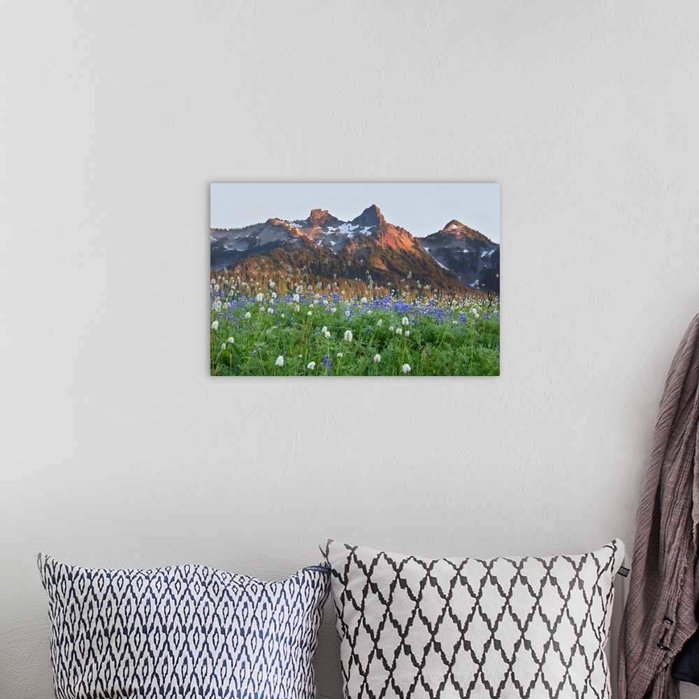 A bohemian room featuring WA, Mount Rainier National Park, Tatoosh Range and Wildflowers