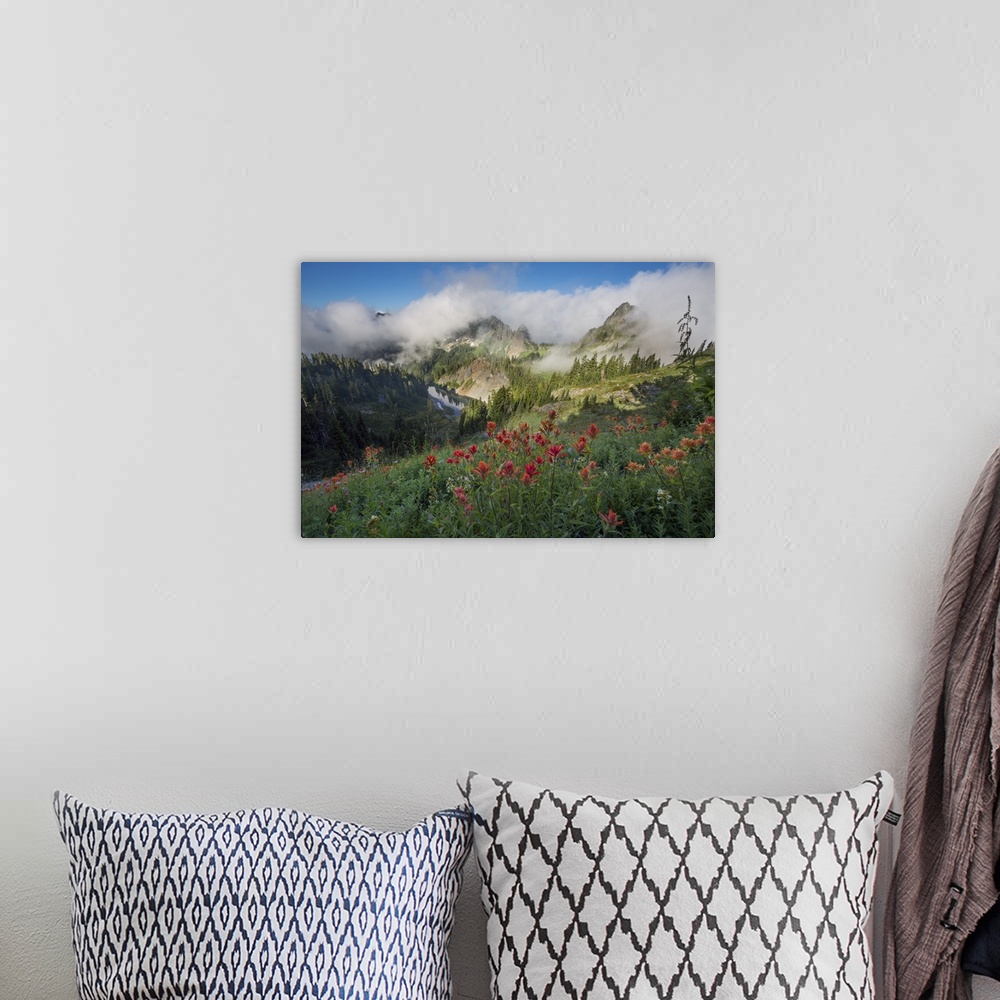 A bohemian room featuring USA. Washinton State, Mt. Rainier National Park. Indian Paintbrush foreground looking toward east...