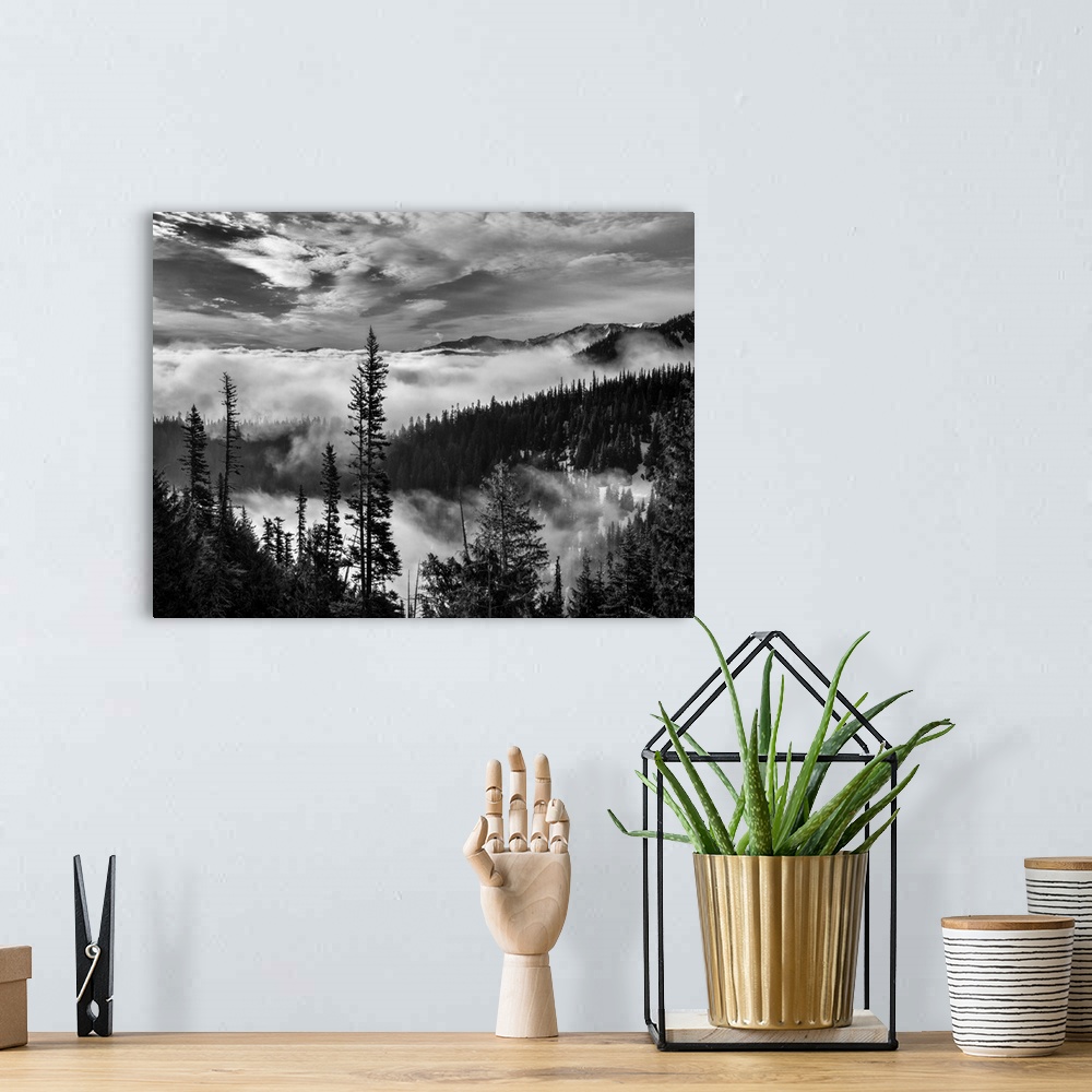 A bohemian room featuring USA, Washington, Olympic National Park, View northeast from road to Hurricane Ridge