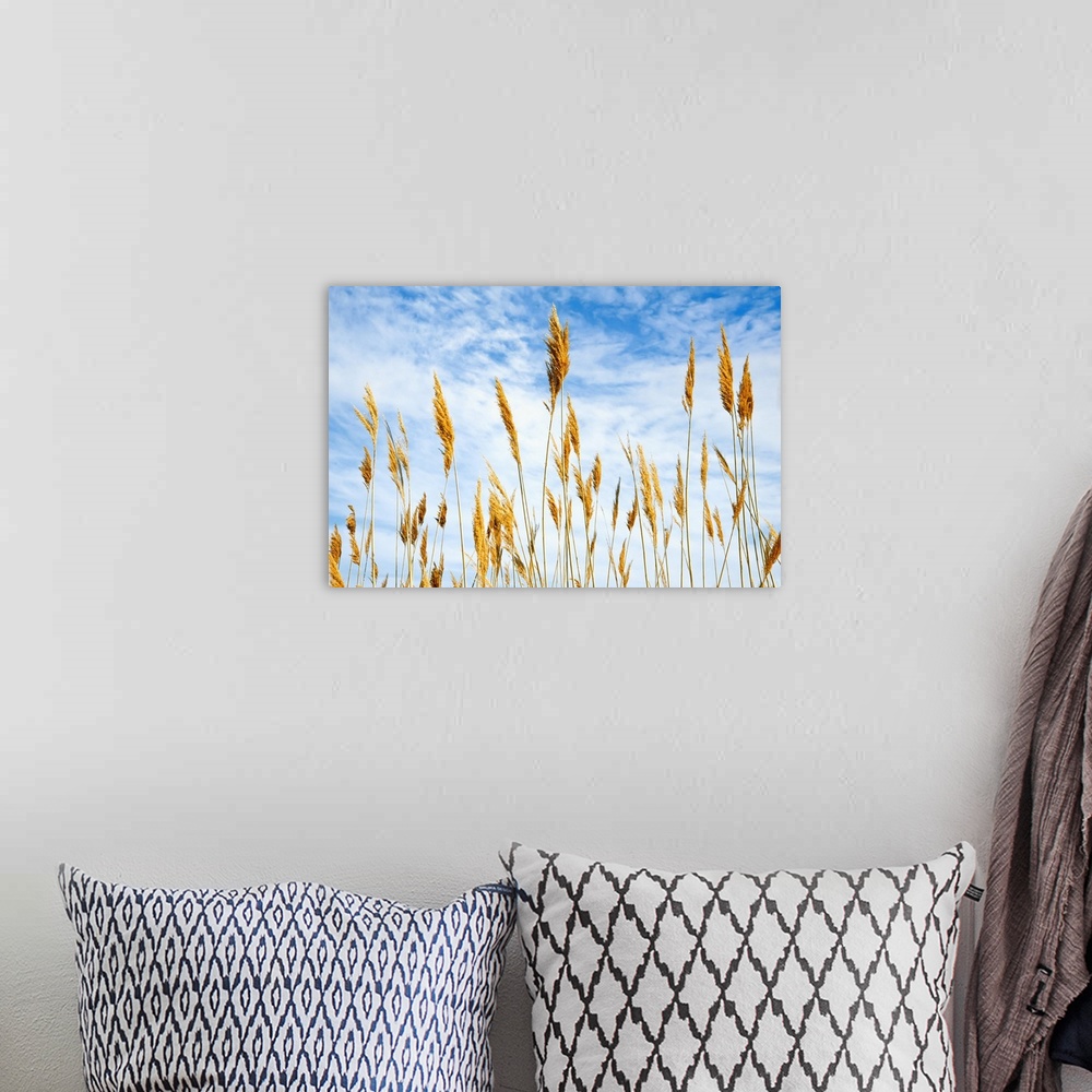 A bohemian room featuring Wheat Blowing in the Wind