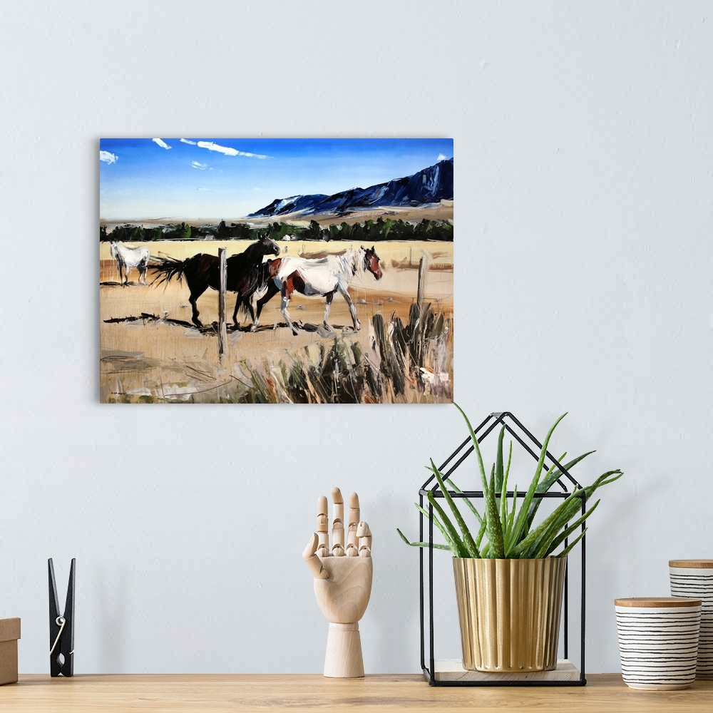 A bohemian room featuring A pair of horses playing in a fenced in coral on a Montana countryside.