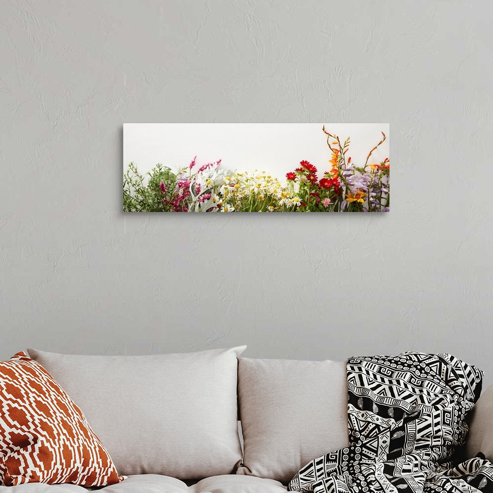 Panoramic Shot Of Bunches Of Diverse Wildflowers On White Background ...