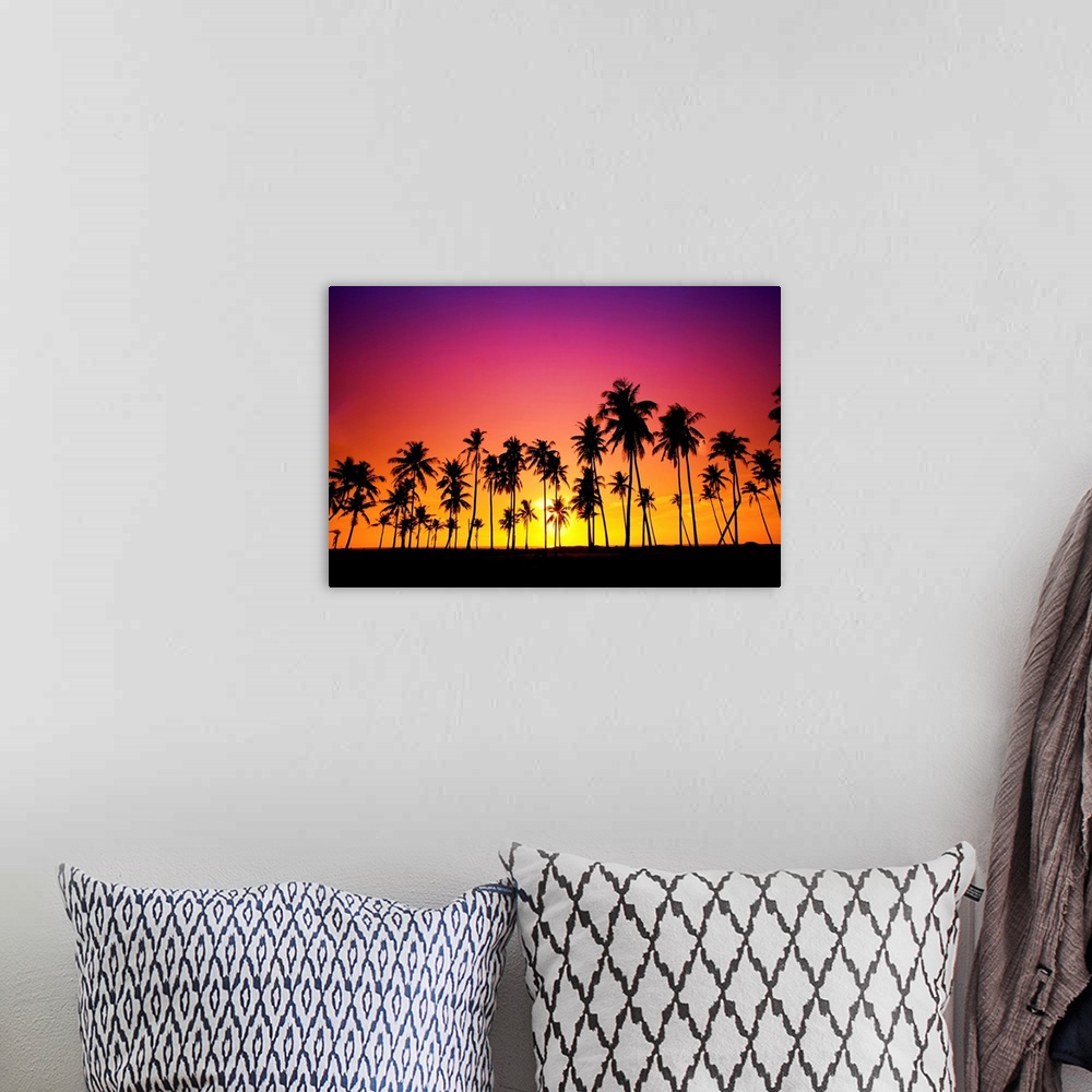 A bohemian room featuring Silhouetted of coconut tree during sunset.