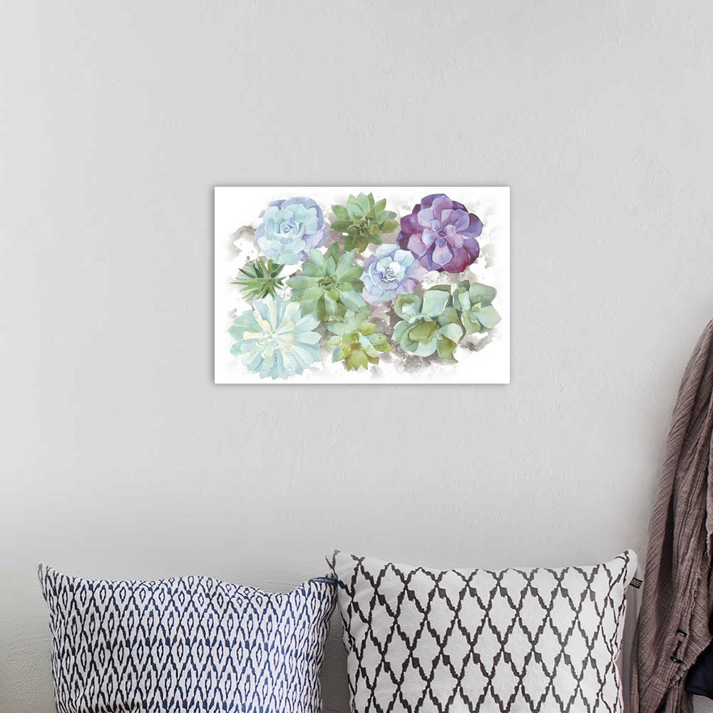 A bohemian room featuring Watercolor Succulents