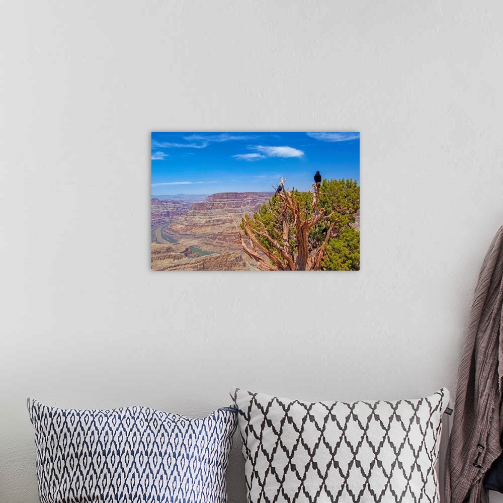 A bohemian room featuring Arizona, Grand Canyon West, Canyon view with Colorado River from West Rim