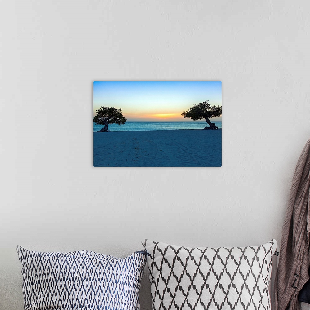 A bohemian room featuring Aruba, Divi trees, beach scene at sunset