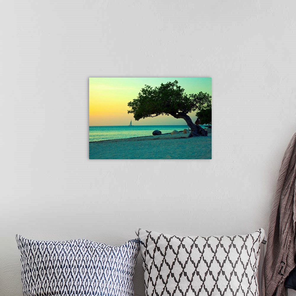 A bohemian room featuring Aruba, Eagle beach, Divi tree at sunset